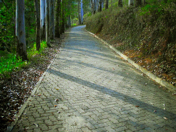 pavimentacao_bloco_intertravado